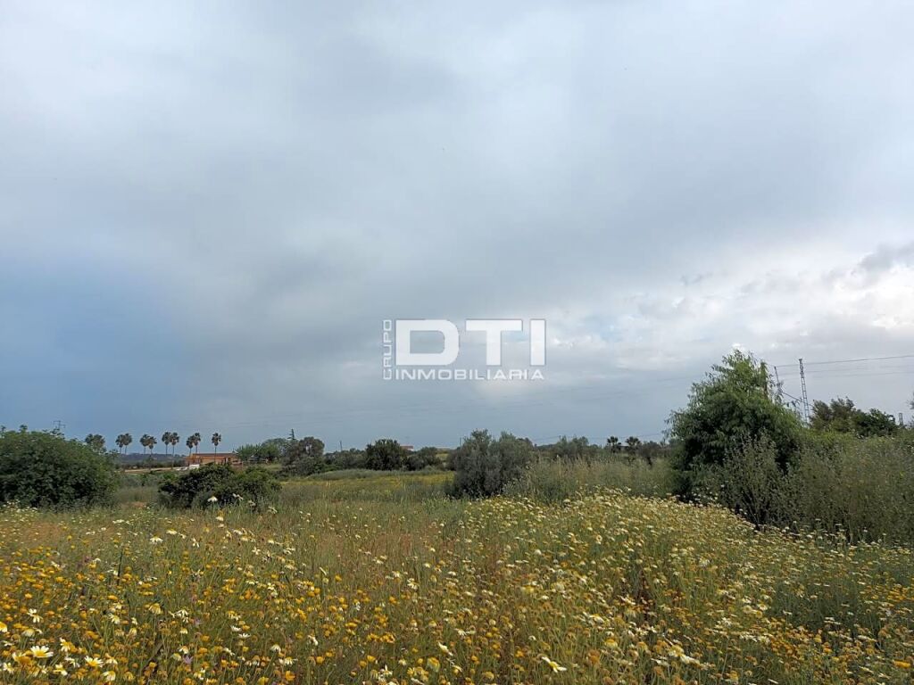 Parcela en San Bartolomé de la Torre a sólo 2Km del pueblo - foto 10