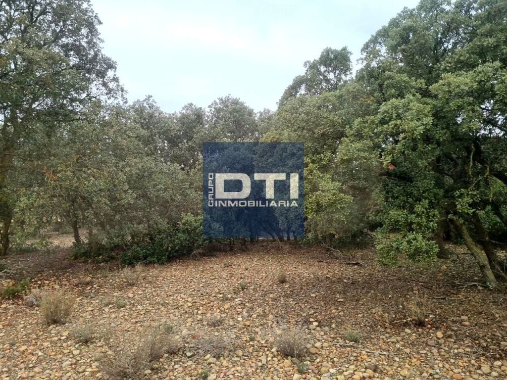 Oportunidad Única en Turismo Rural y Agro inversión Ecológic - foto 36