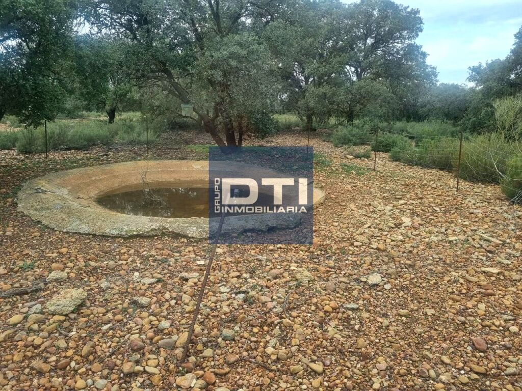 Oportunidad Única en Turismo Rural y Agro inversión Ecológic - foto 37