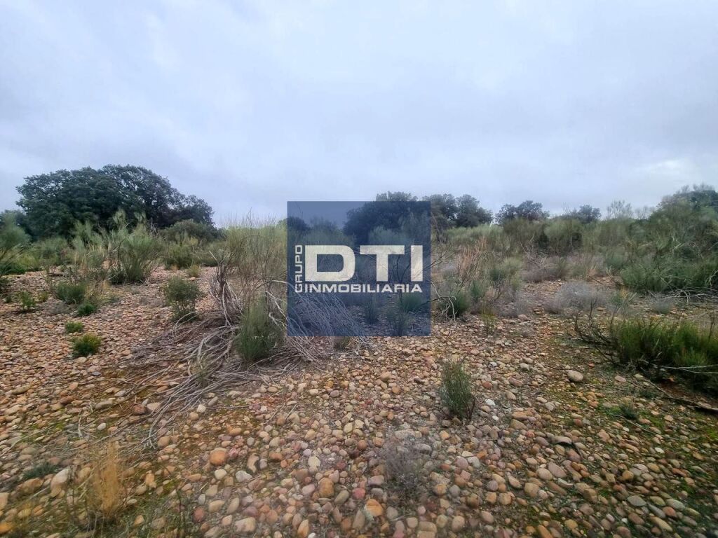 Oportunidad Única en Turismo Rural y Agro inversión Ecológic - foto 38