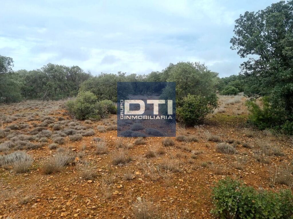 Oportunidad Única en Turismo Rural y Agro inversión Ecológic - foto 39