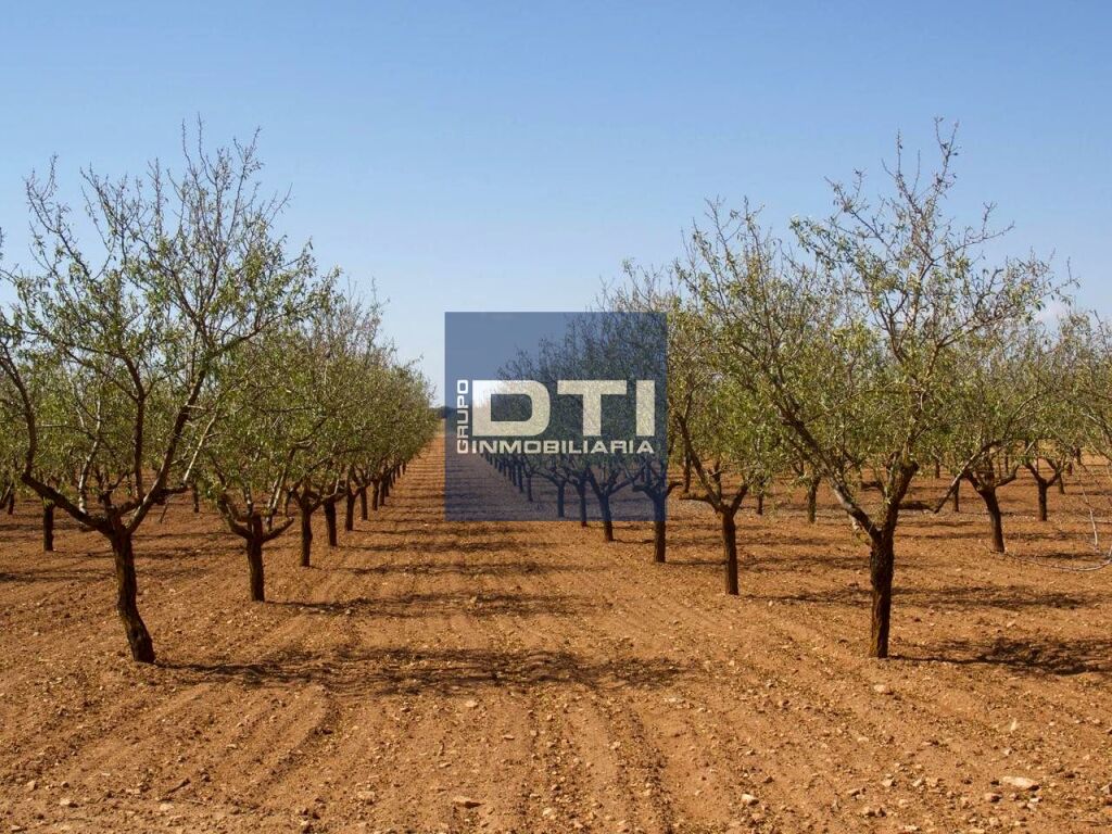 Oportunidad Única en Turismo Rural y Agro inversión Ecológic - foto 43