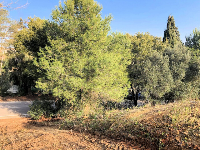 Solar residencial en Venta en Sotogrande Cádiz - foto 2