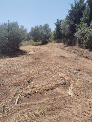 Solar residencial en Venta en Sotogrande Cádiz - foto 4