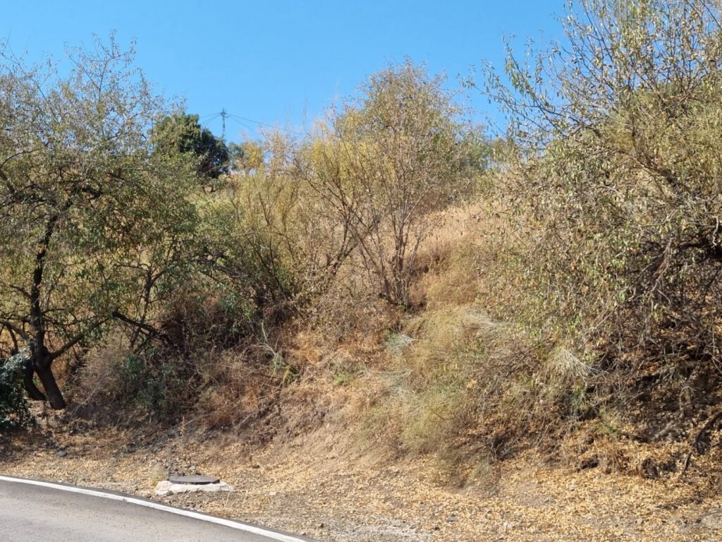 GRAN FINCA EN LA VIÑUELA AL LADO DEL PANTANO - foto 18