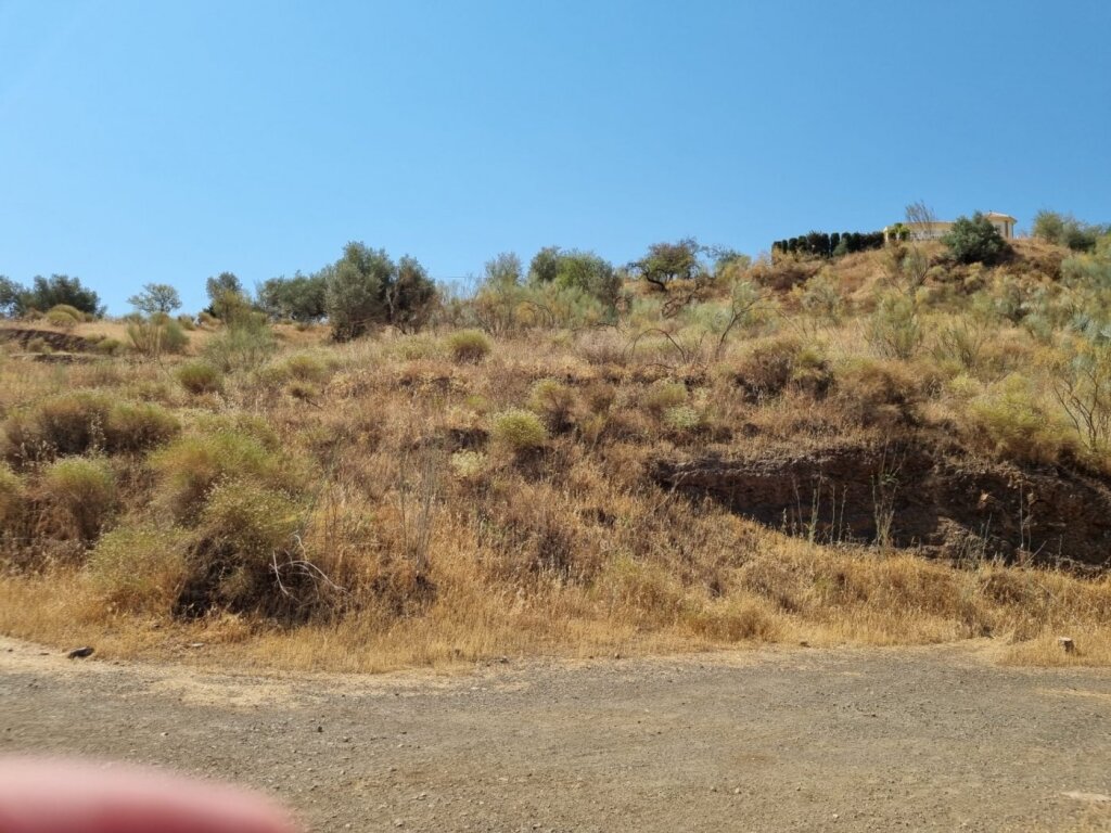 GRAN FINCA EN LA VIÑUELA AL LADO DEL PANTANO - foto 9