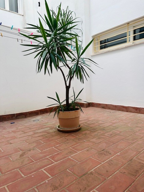 Piso en Venta en Cádiz Cádiz - foto 6