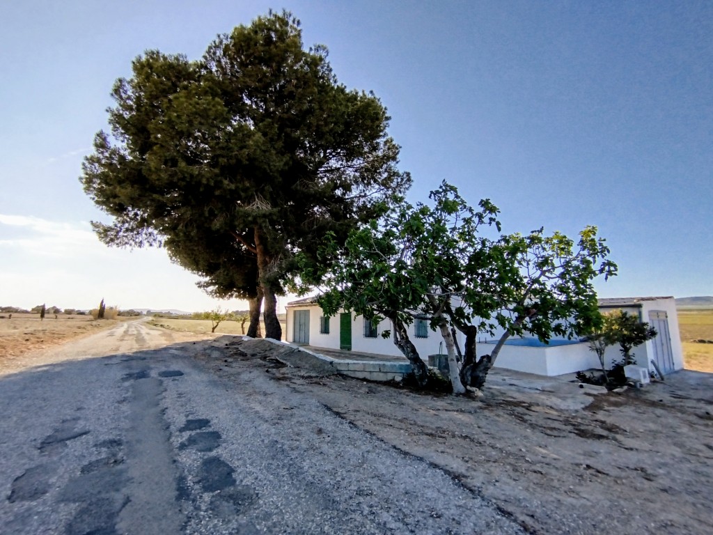 Casa-Chalet en Venta en Yecla Murcia - foto 3