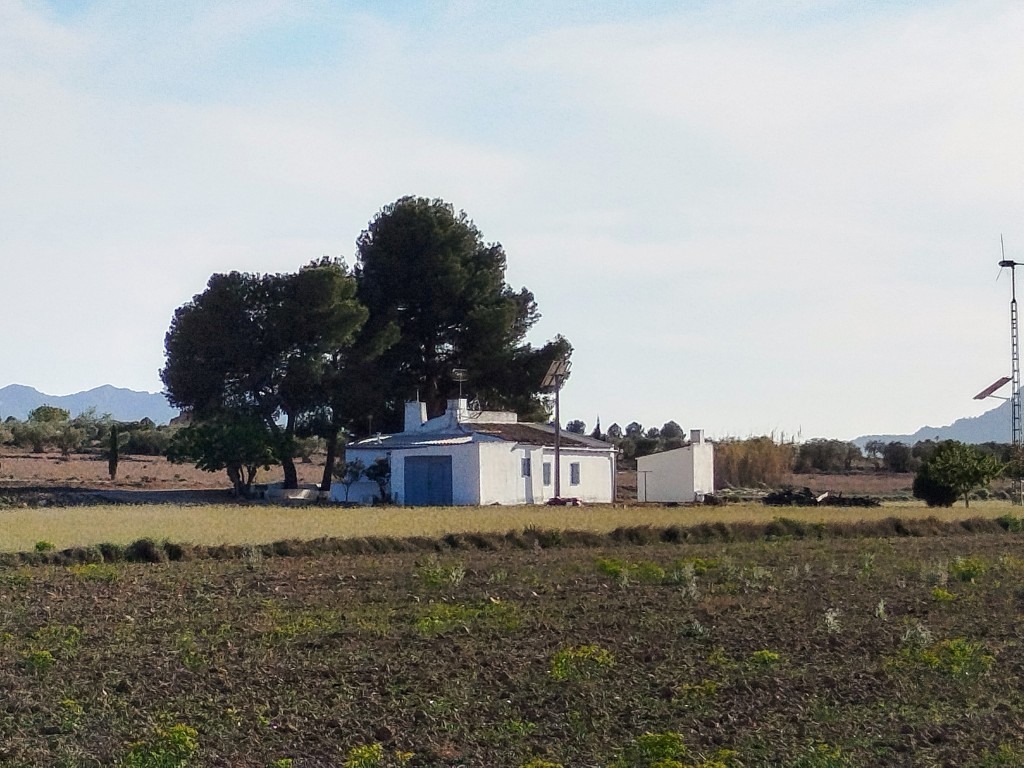 Casa-Chalet en Venta en Yecla Murcia - foto 4
