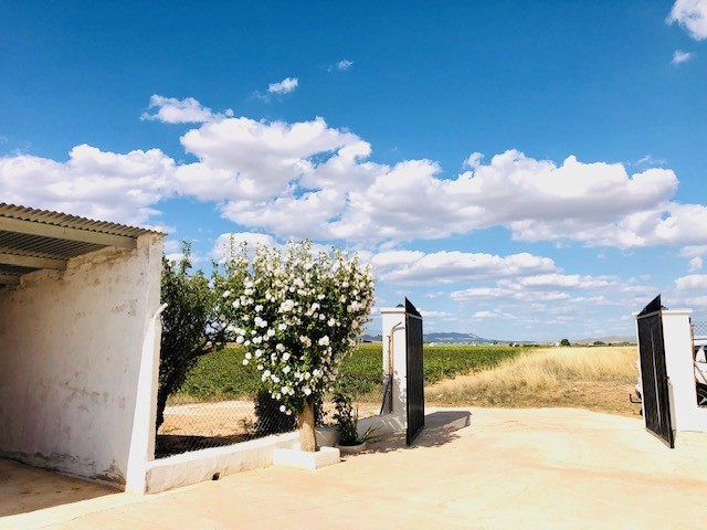 Casa-Chalet en Venta en Yecla Murcia - foto 3