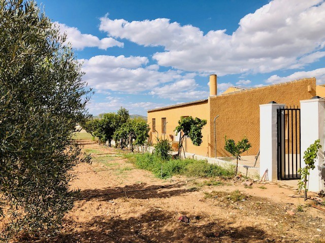 Casa-Chalet en Venta en Yecla Murcia - foto 29