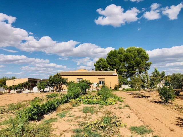 Casa-Chalet en Venta en Yecla Murcia - foto 31