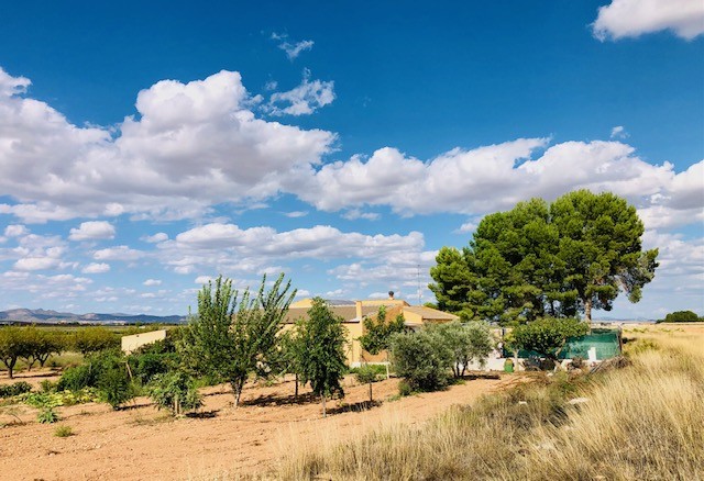 Casa-Chalet en Venta en Yecla Murcia - foto 32
