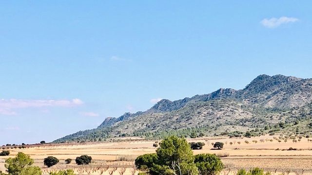 Adosada en Venta en Yecla Murcia - foto 3