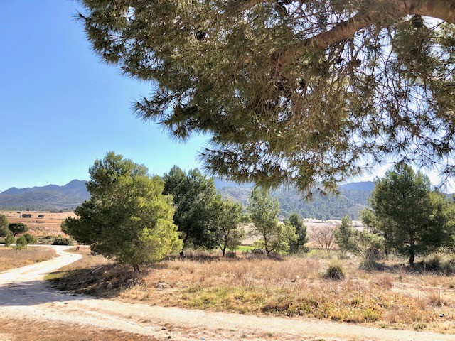 Adosada en Venta en Yecla Murcia - foto 30