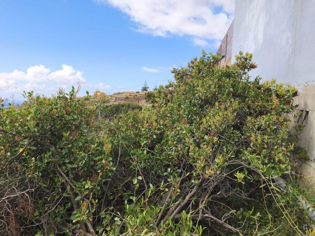 TERRENO URBANO DE 222M2 EN BARRANCO HONDO, CANDELARIA, ISLAS - foto 11