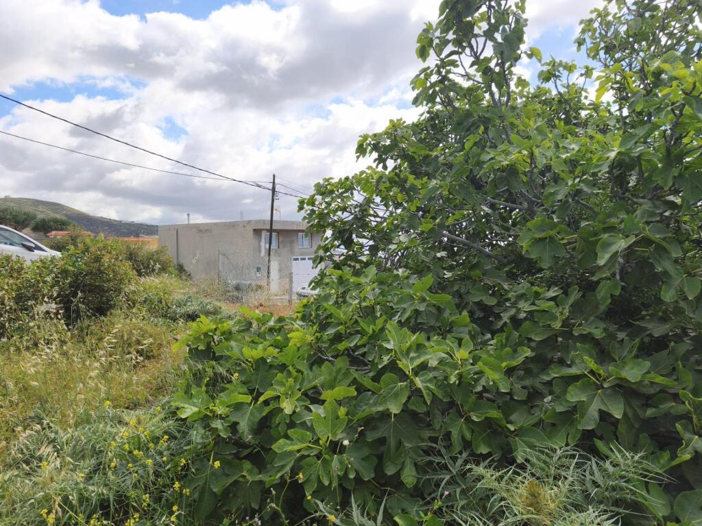 TERRENO URBANO DE 222M2 EN BARRANCO HONDO, CANDELARIA, ISLAS - foto 10