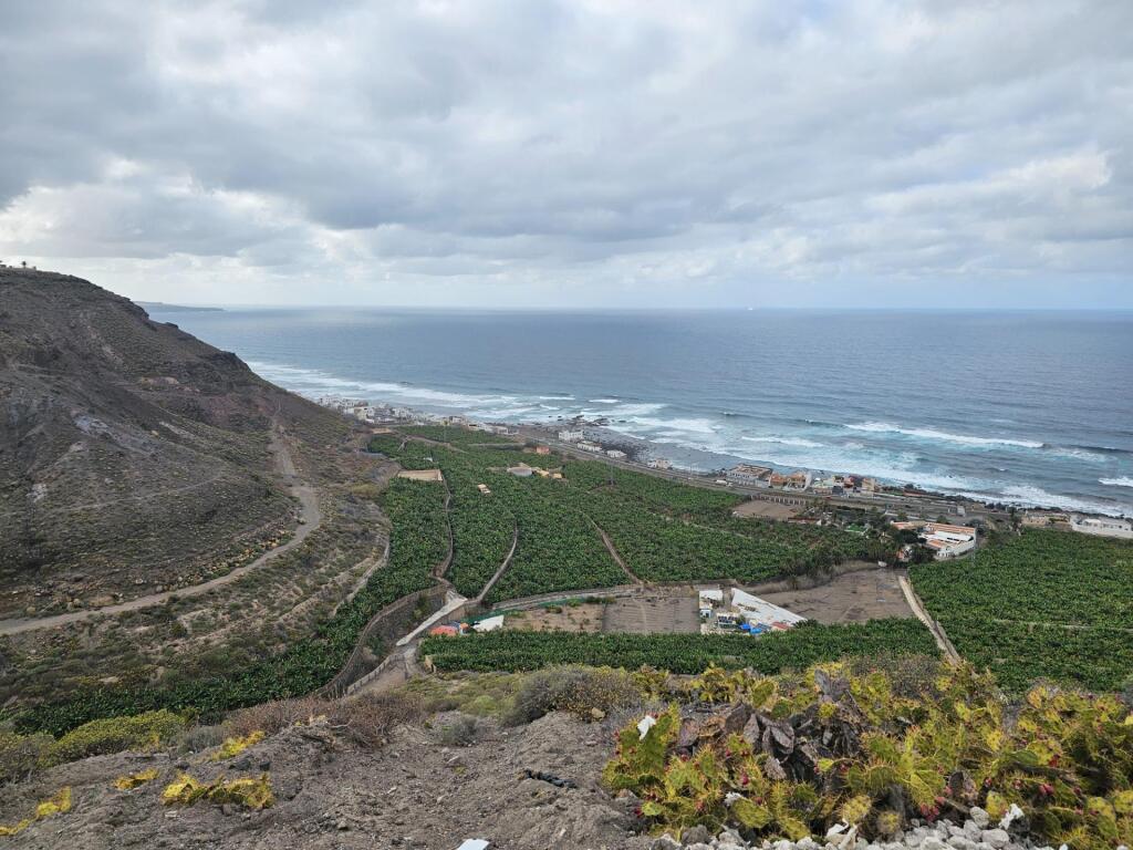 FINCA RÚSTICA EN LOMO QUINTANILLA, ARUCAS, GRAN CANARIA, ISL - foto 3