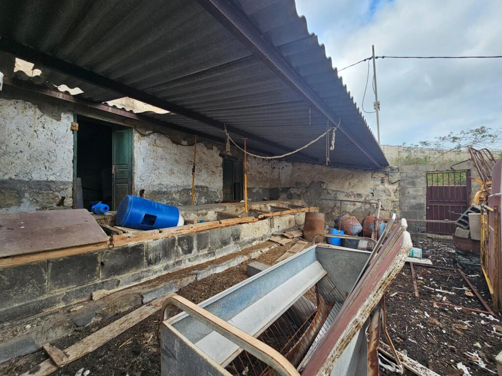 FINCA RÚSTICA EN LOMO QUINTANILLA, ARUCAS, GRAN CANARIA, ISL - foto 26