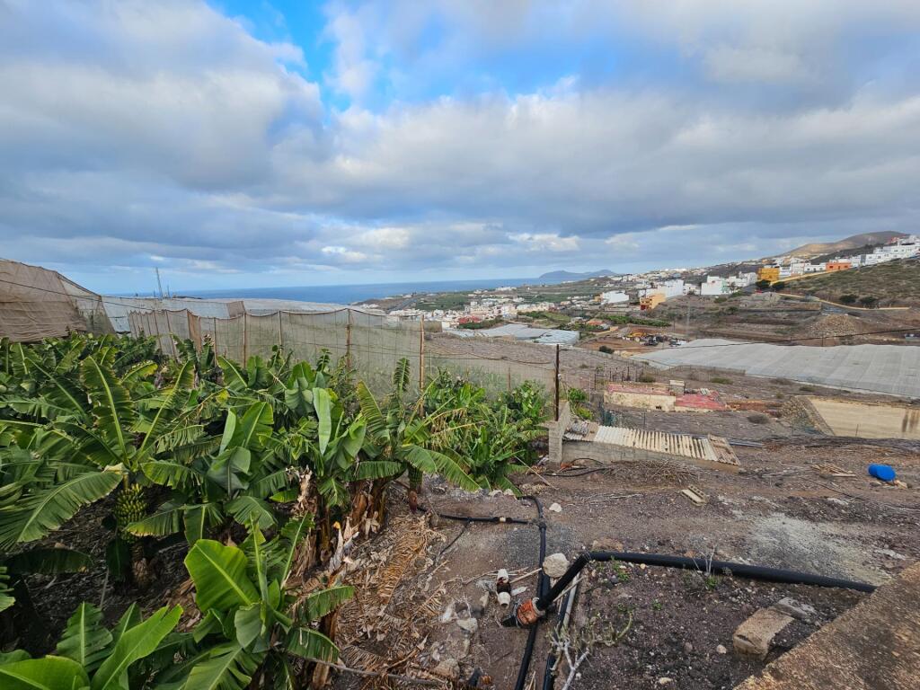 FINCA RÚSTICA EN LOMO QUINTANILLA, ARUCAS, GRAN CANARIA, ISL - foto 43