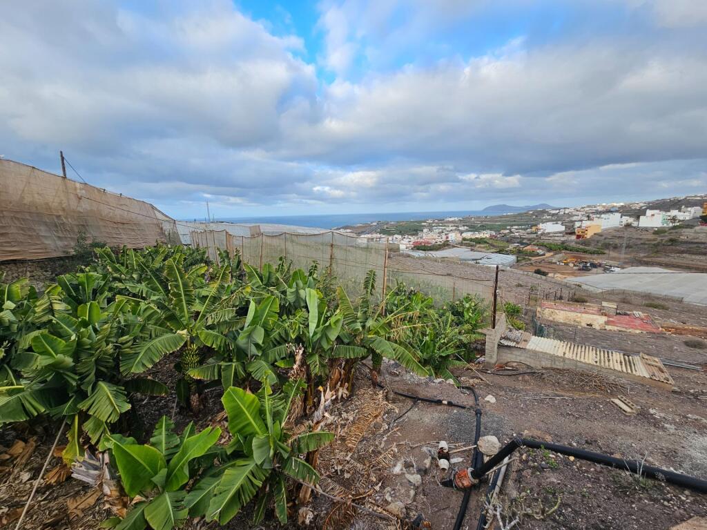 FINCA RÚSTICA EN LOMO QUINTANILLA, ARUCAS, GRAN CANARIA, ISL - foto 44