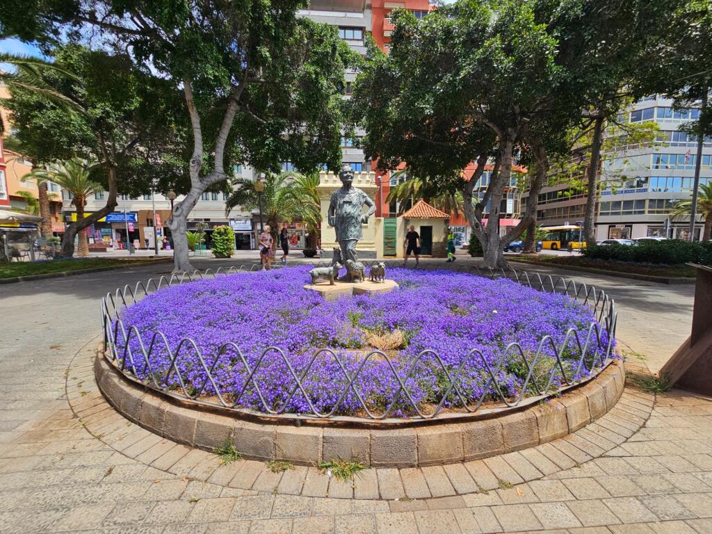 ESTUPENDO PISO EN ZONA CANTERAS - SANTA CATALINA, LAS PALMAS - foto 35