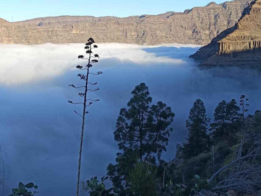 Finca rústica con vivienda, segunda edificación y 17.000 m2  - foto 2