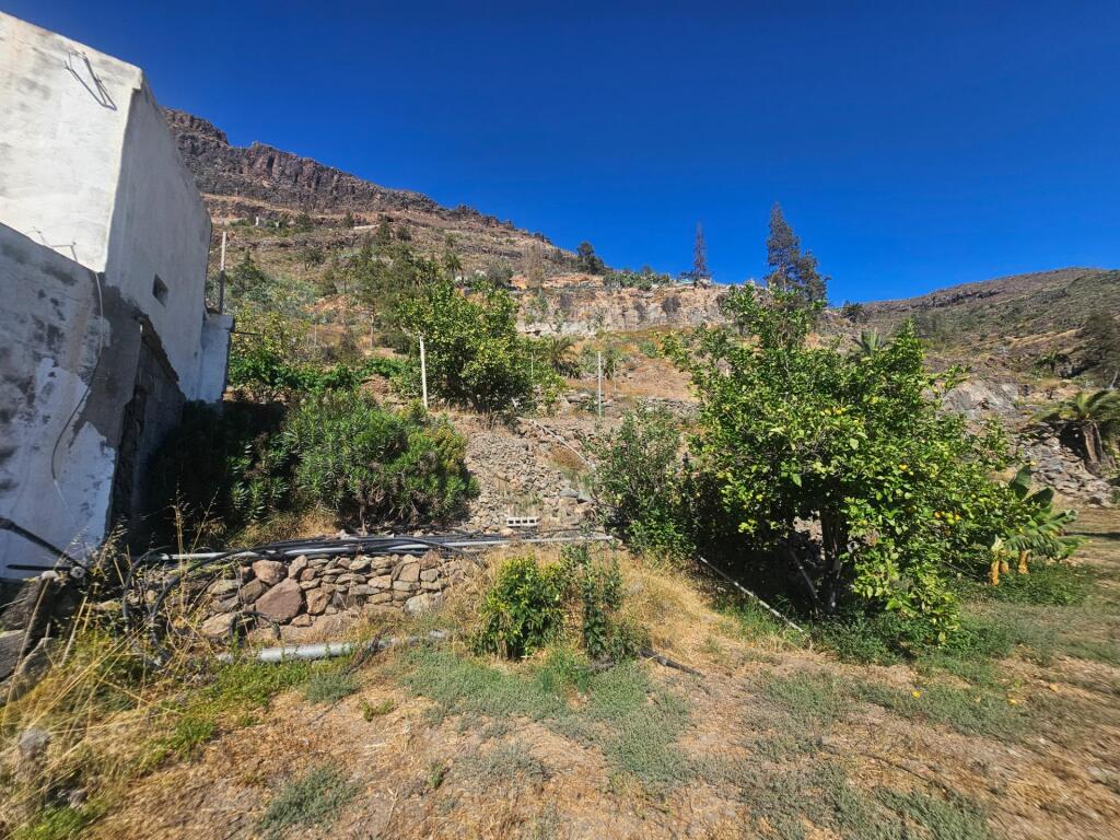 Finca rústica con vivienda, segunda edificación y 17.000 m2  - foto 11