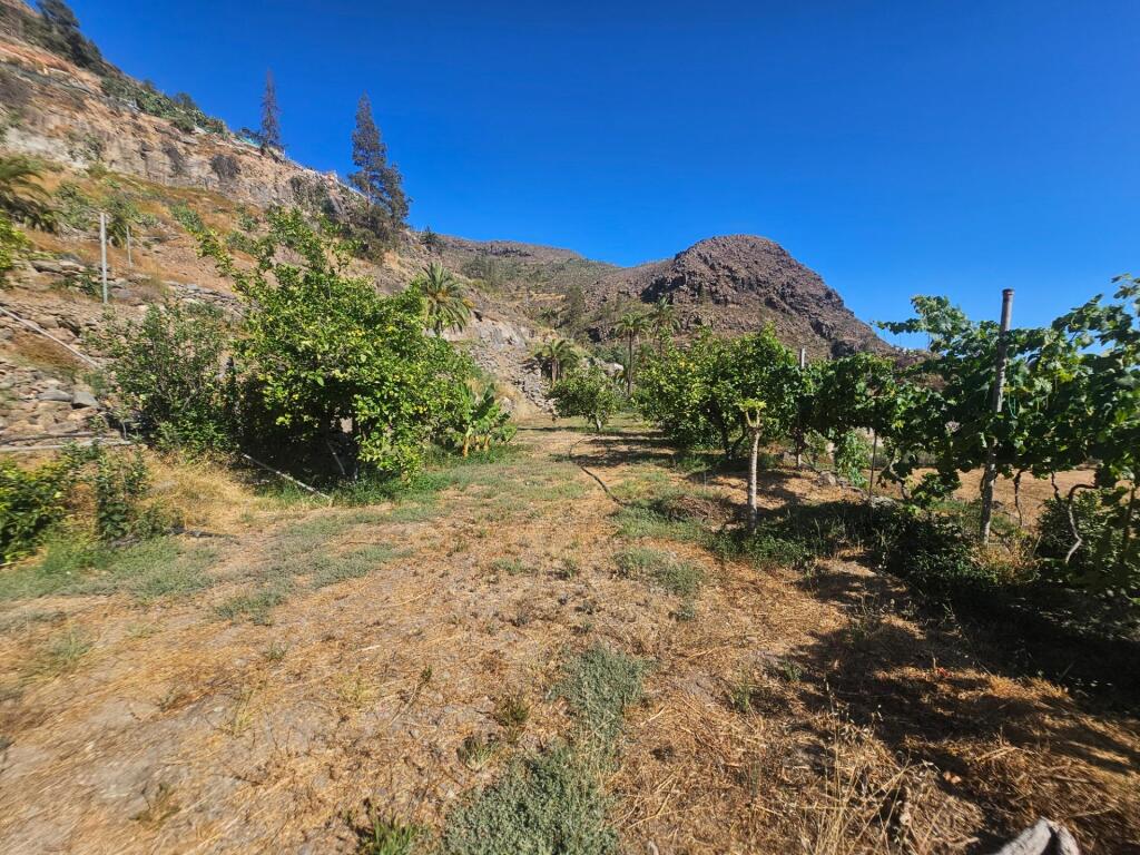 Finca rústica con vivienda, segunda edificación y 17.000 m2  - foto 12