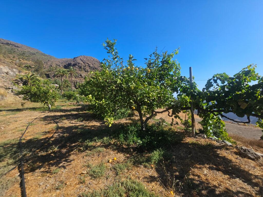 Finca rústica con vivienda, segunda edificación y 17.000 m2  - foto 13