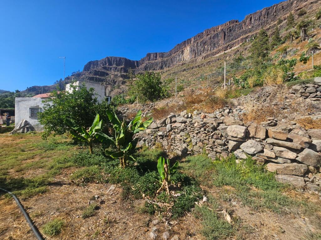 Finca rústica con vivienda, segunda edificación y 17.000 m2  - foto 15