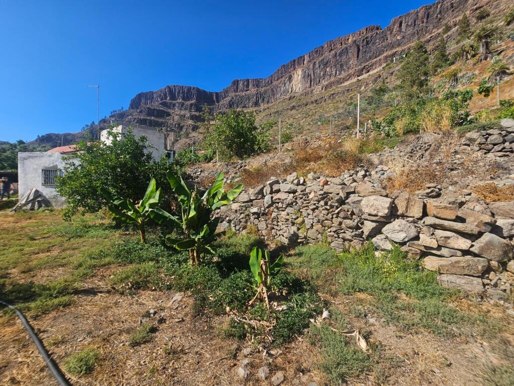 Finca rústica con vivienda, segunda edificación y 17.000 m2  - foto 16