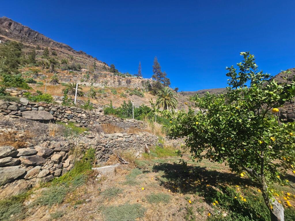 Finca rústica con vivienda, segunda edificación y 17.000 m2  - foto 17