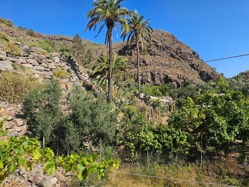 Finca rústica con vivienda, segunda edificación y 17.000 m2  - foto 18
