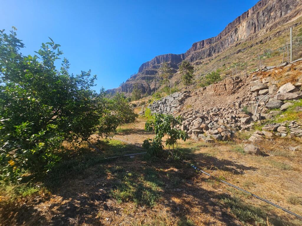 Finca rústica con vivienda, segunda edificación y 17.000 m2  - foto 24