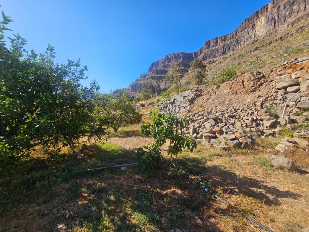 Finca rústica con vivienda, segunda edificación y 17.000 m2  - foto 25