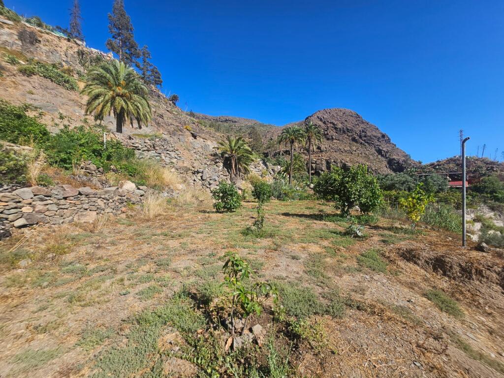 Finca rústica con vivienda, segunda edificación y 17.000 m2  - foto 26