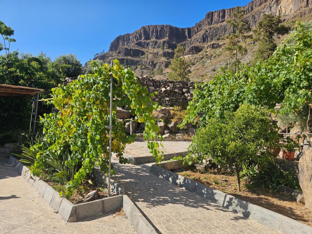 Finca rústica con vivienda, segunda edificación y 17.000 m2  - foto 9