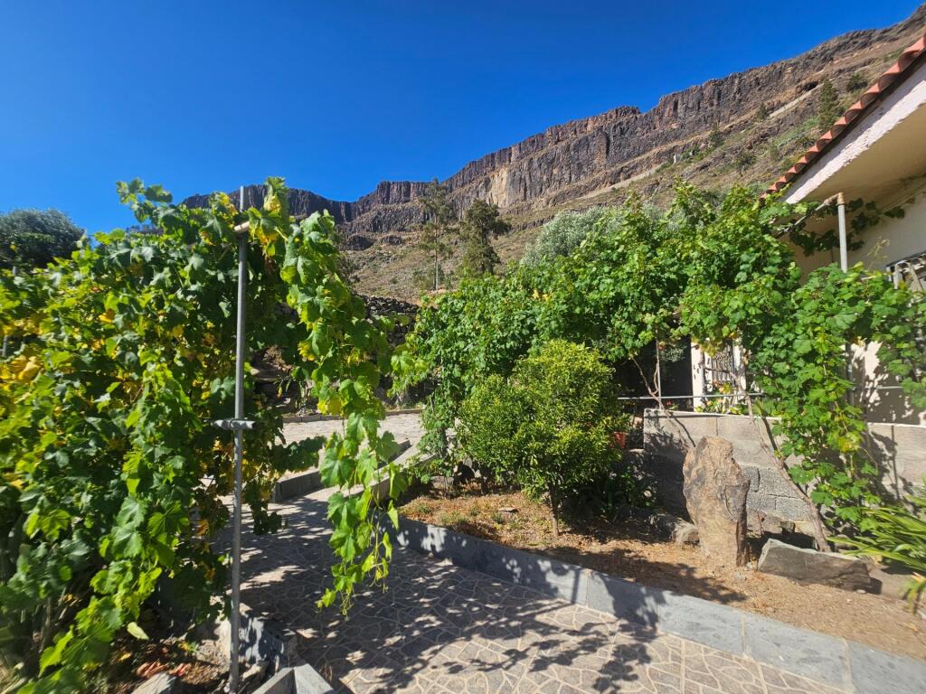 Finca rústica con vivienda, segunda edificación y 17.000 m2  - foto 10
