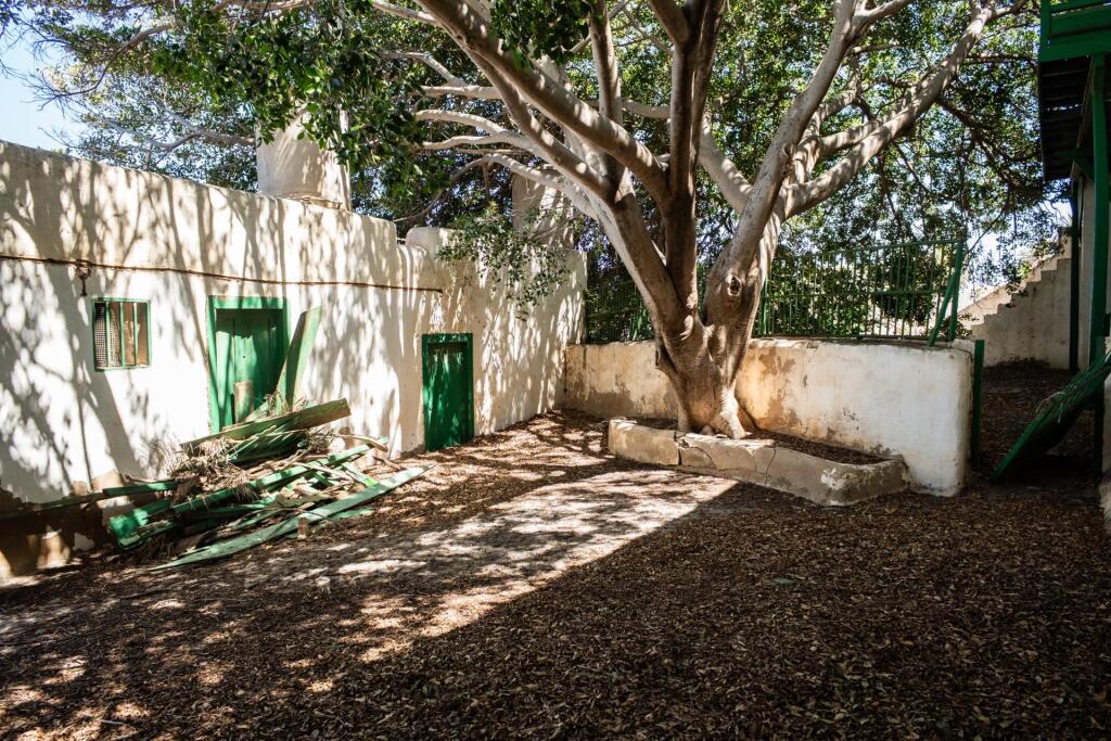 Masía emblemática en Ingenio, Islas Canarias, España - foto 44