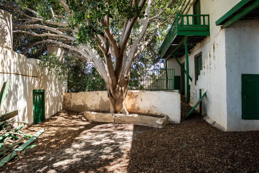 Masía emblemática en Ingenio, Islas Canarias, España - foto 45