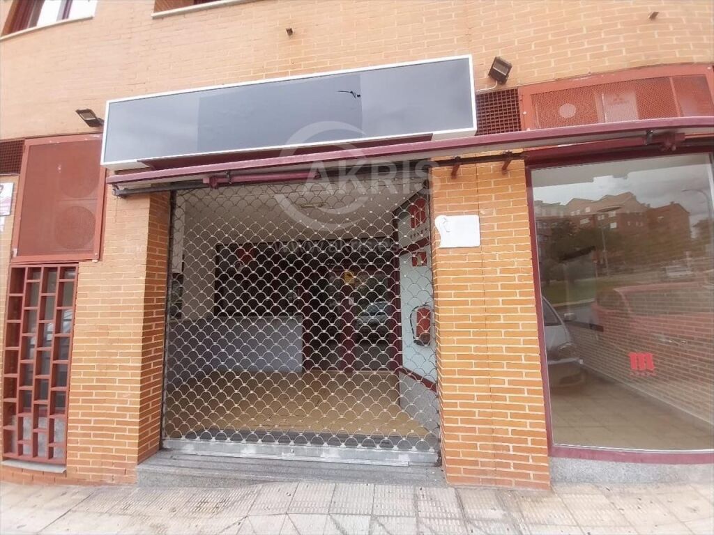 Local Comercial en Toledo - foto 28