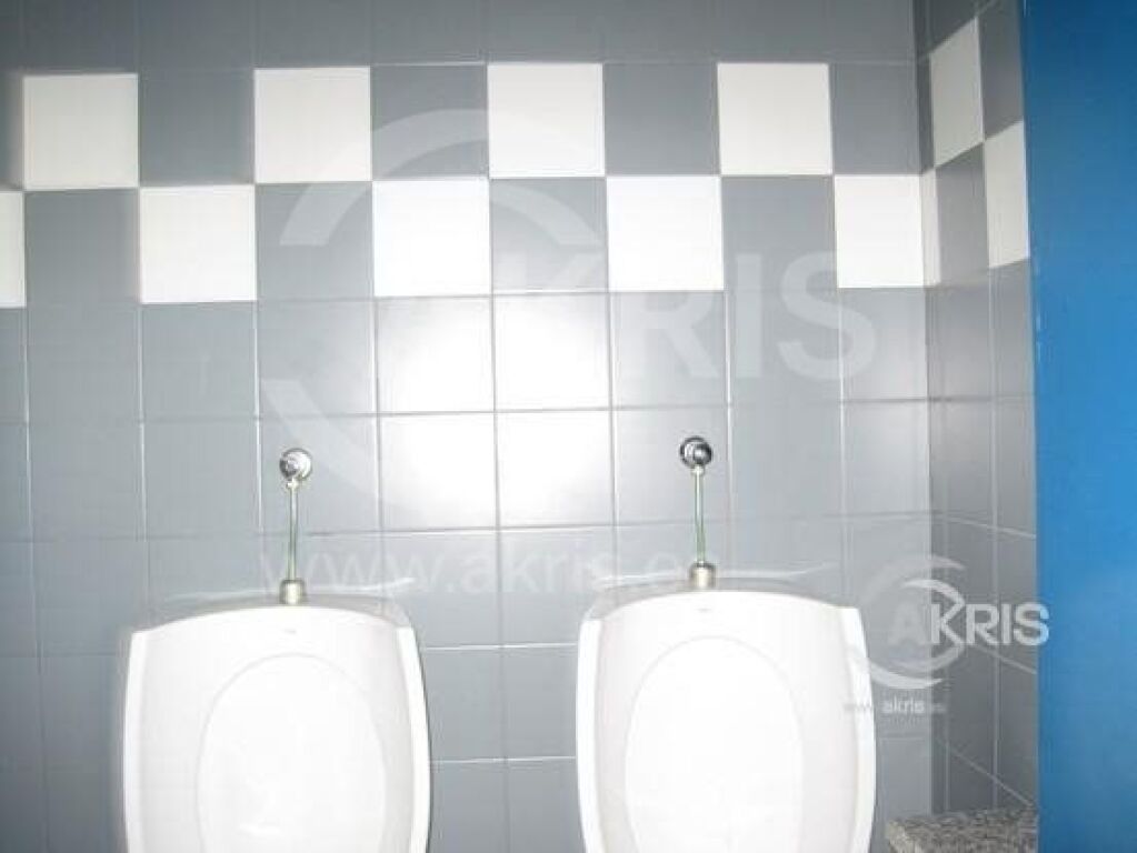 Local Comercial en Toledo - foto 9