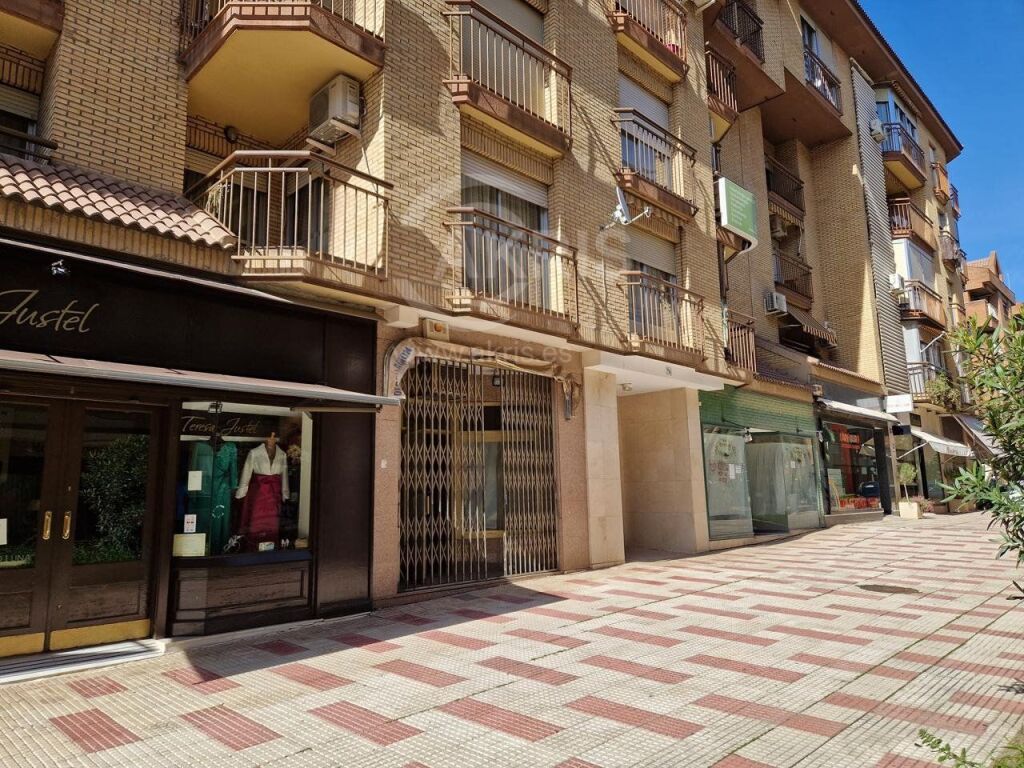 Local Comercial en Toledo - foto 15