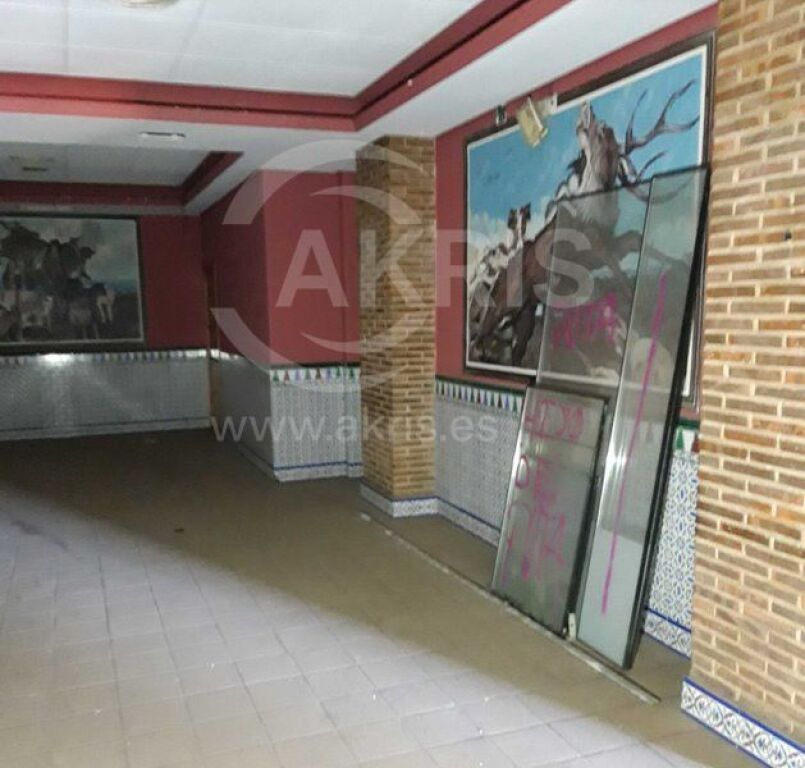 Local Comercial en Pulgar - foto 7