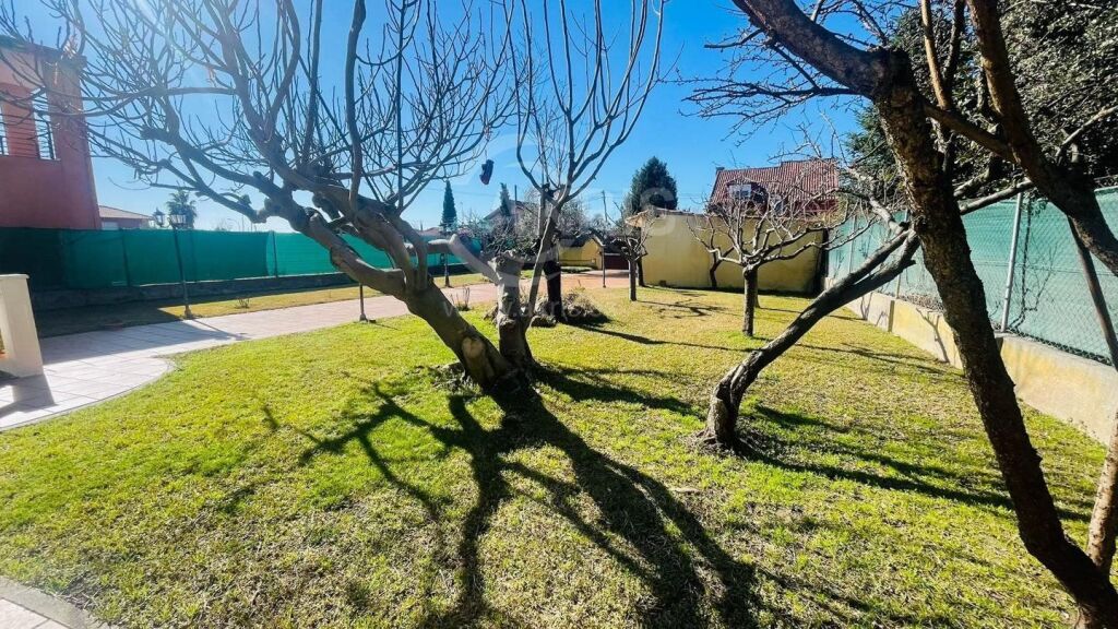 Chalet Independiente en Pepino - foto 44