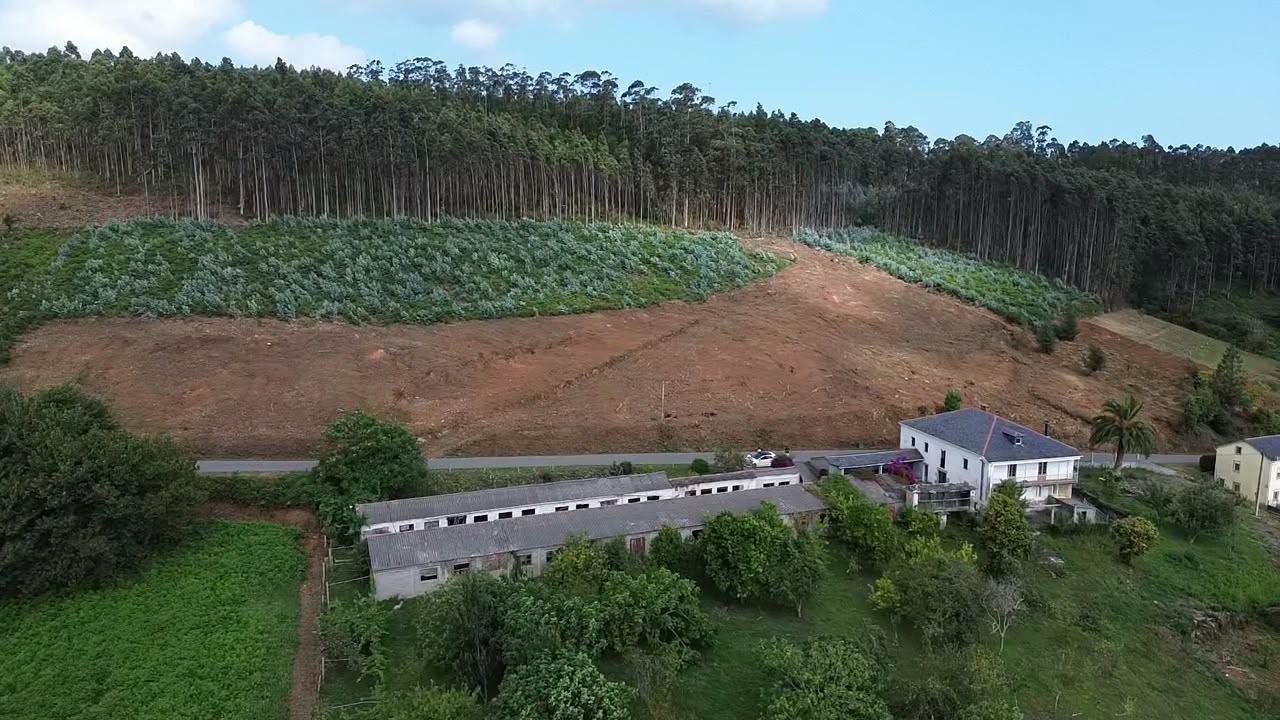 Exclusiva finca urbana de casi 10.000 m2 en O Vicedo – Una o