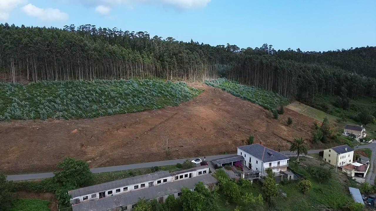 Exclusiva finca urbana de casi 10.000 m2 en O Vicedo – Una o - foto 2