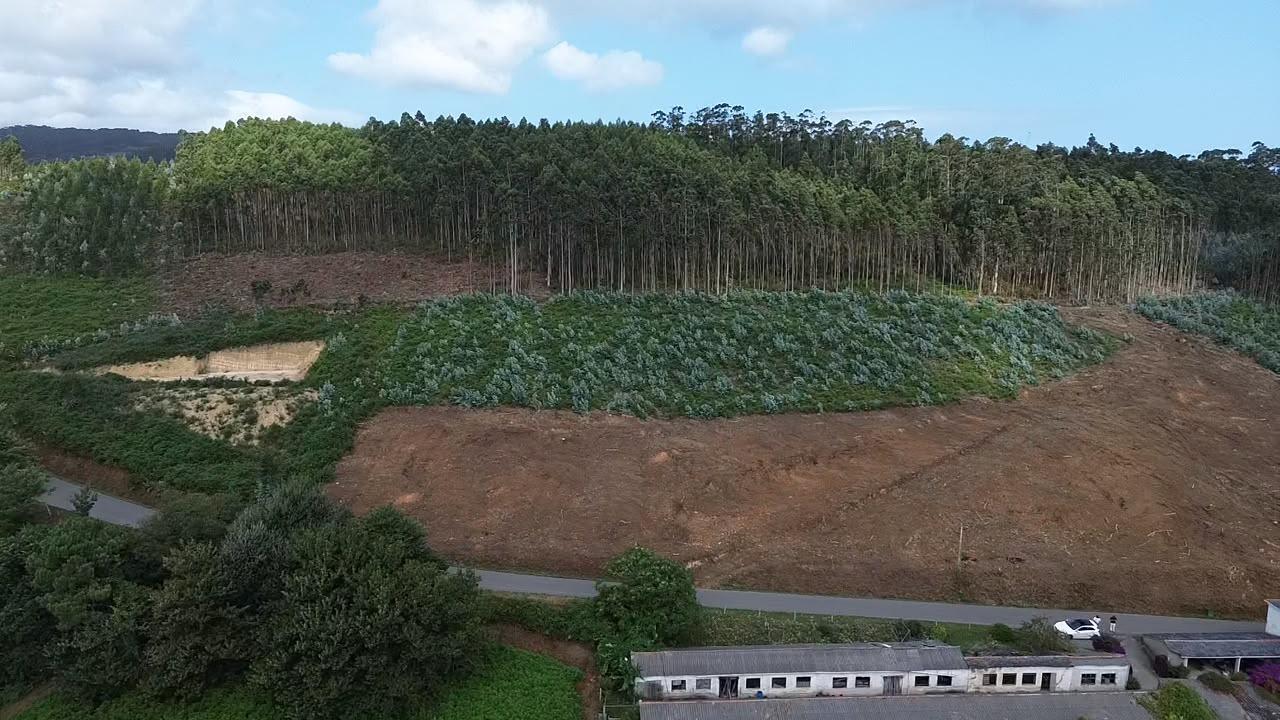 Exclusiva finca urbana de casi 10.000 m2 en O Vicedo – Una o - foto 3