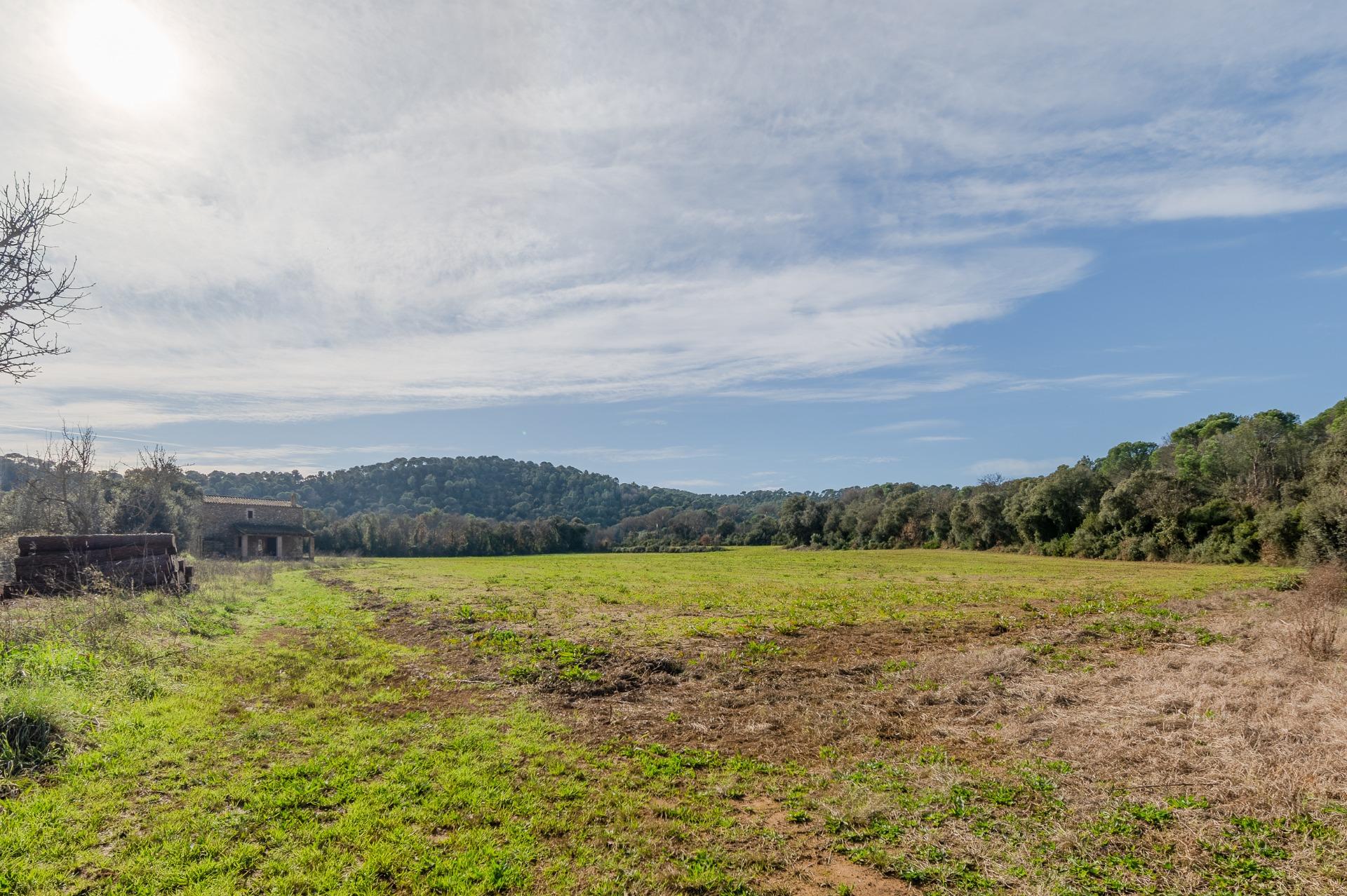 Masía en el Empordà: Un Proyecto Arquitectónico con Visión e - foto 8